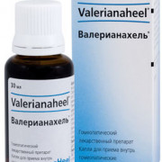 small-valerianaxel-kap-d/vnut-pr-gomeopat-30ml-n1-fl-kap-t-s-pk-0